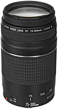 Canon RF 75-300mm f/4-5.6 Compact Telephoto Zoom Lens for Mount - Full... - Image 6