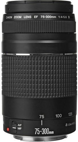 Canon RF 75-300mm f/4-5.6 Compact Telephoto Zoom Lens for Mount - Full... - Image 3