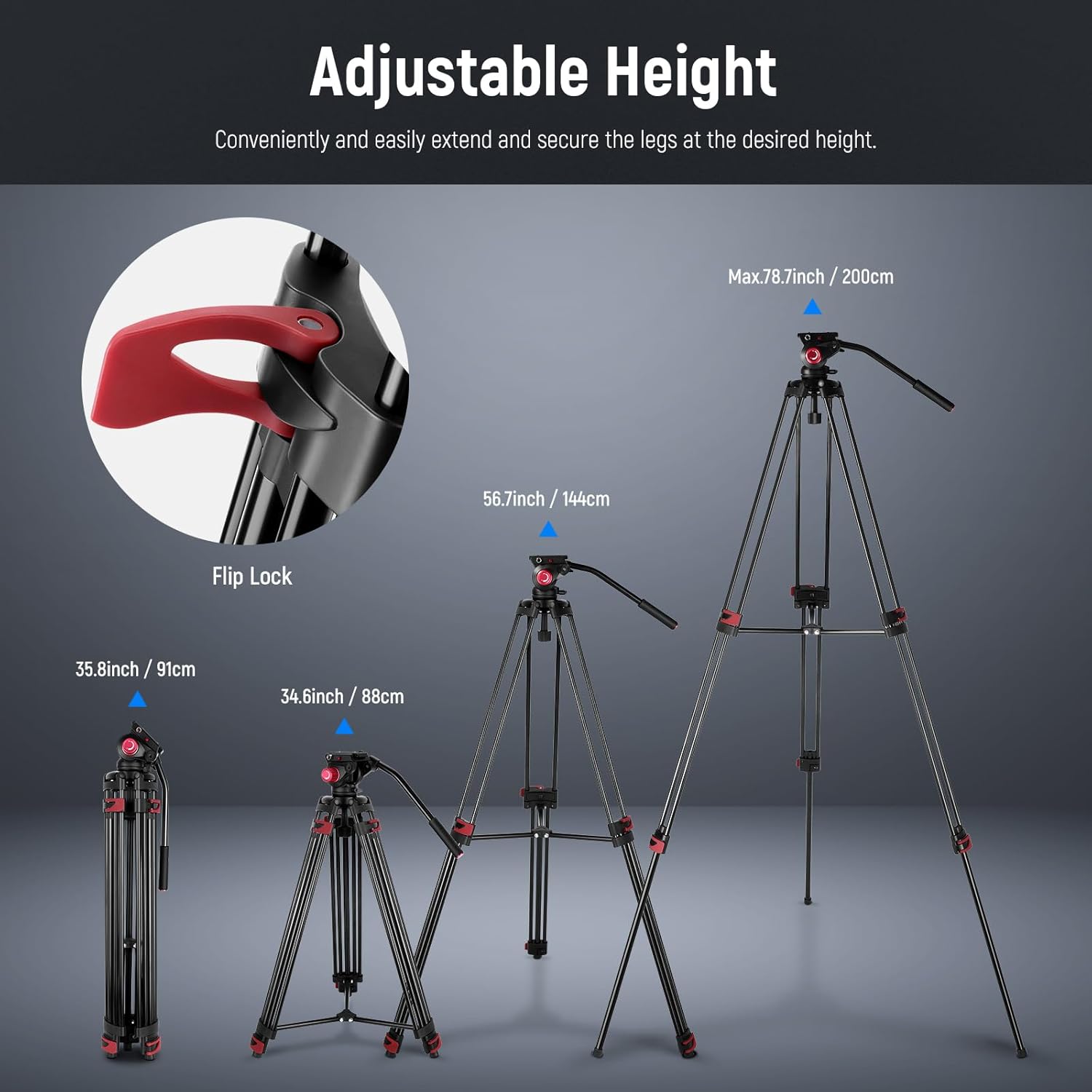 NEEWER 79"/200cm Video Tripod, Heavy Duty Aluminum Alloy Camera Tripod Black - Image 2