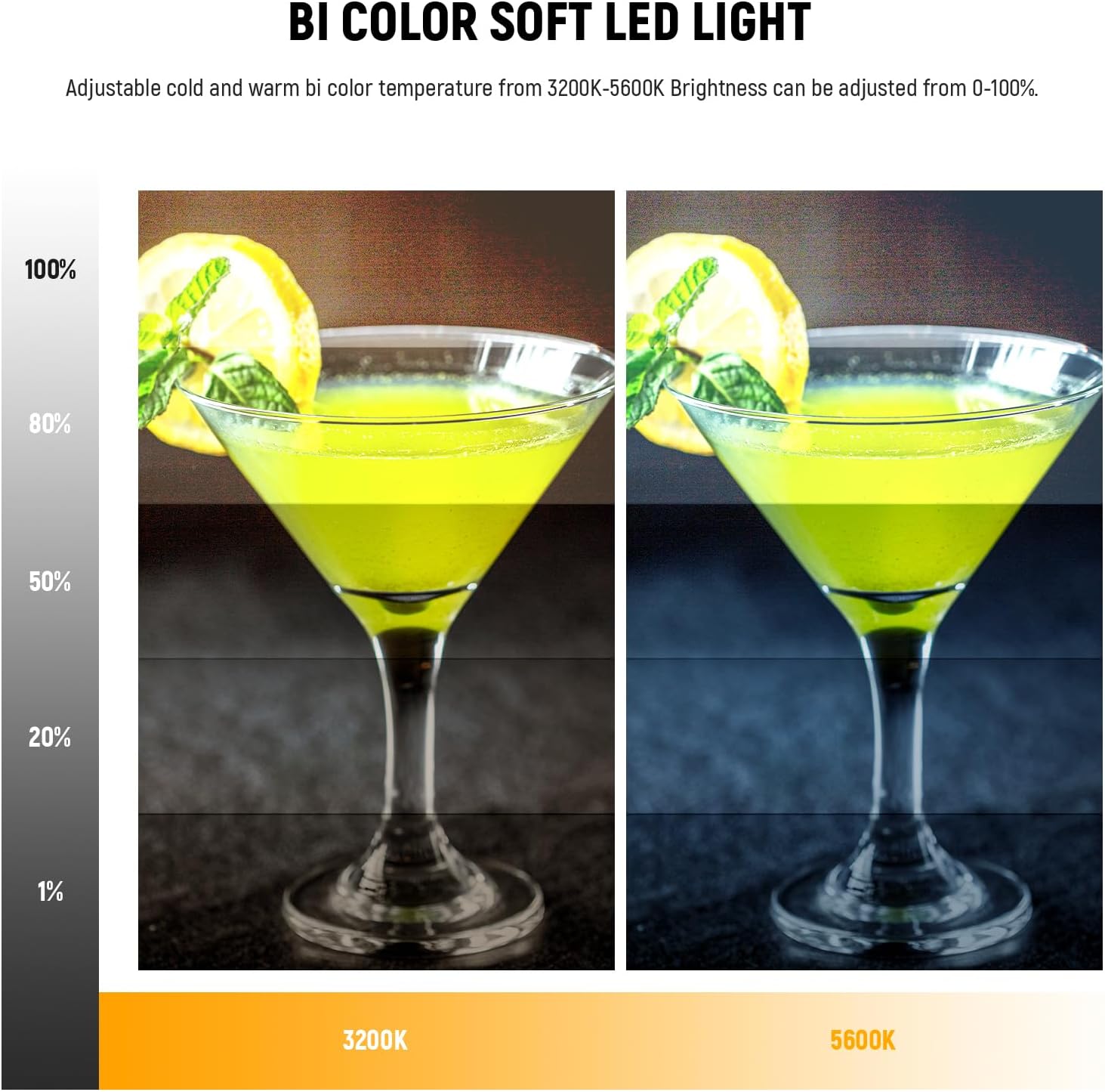 NEEWER 9" LED Video Light Panel, Dimmable DSLR Camera Soft Lighting with... - Image 3