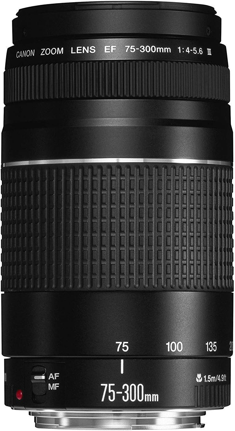 Canon RF 75-300mm f/4-5.6 Compact Telephoto Zoom Lens for Mount - Full... - Image 4